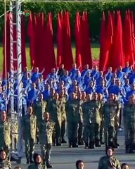 السيسى حذرنا من أن عدم دخول المساعدات يؤدى إلى مجاعة