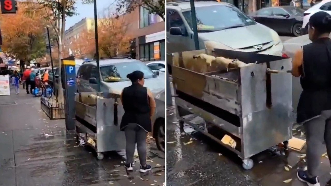 Una mujer cocina ratas en pleno Nueva York