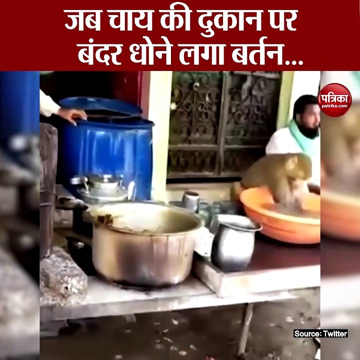 Video: चाय की दुकान पर बंदर धोने लगा बर्तन, नजारा देख हैरान हुए लोग