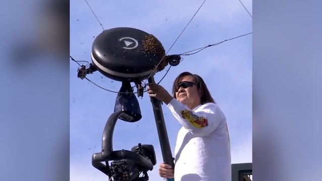 Indian Wells: Unprotected man casually hoovers up hundreds of bees after swarm takes over court