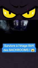 Survivre à l'étage 864 des BACKROOMS !