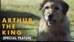Arthur the King | Special Feature ‘A Love Letter To Arthur’ - Mark Wahlberg