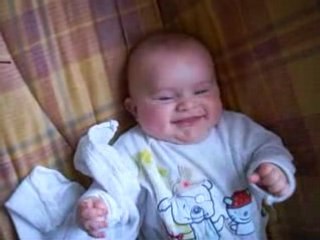 Alan Rigole: A Brief Overview