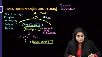 Cell injury 2 newer cell death || general pathology