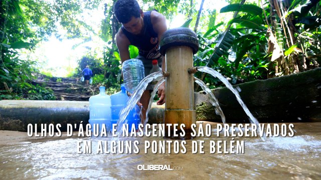 Olhos d'água e nascentes são preservados em alguns pontos de Belém