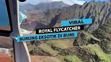 Ngeri! detik-detik helicopter mengalami rusak mesin dan terjatuh ke daratan