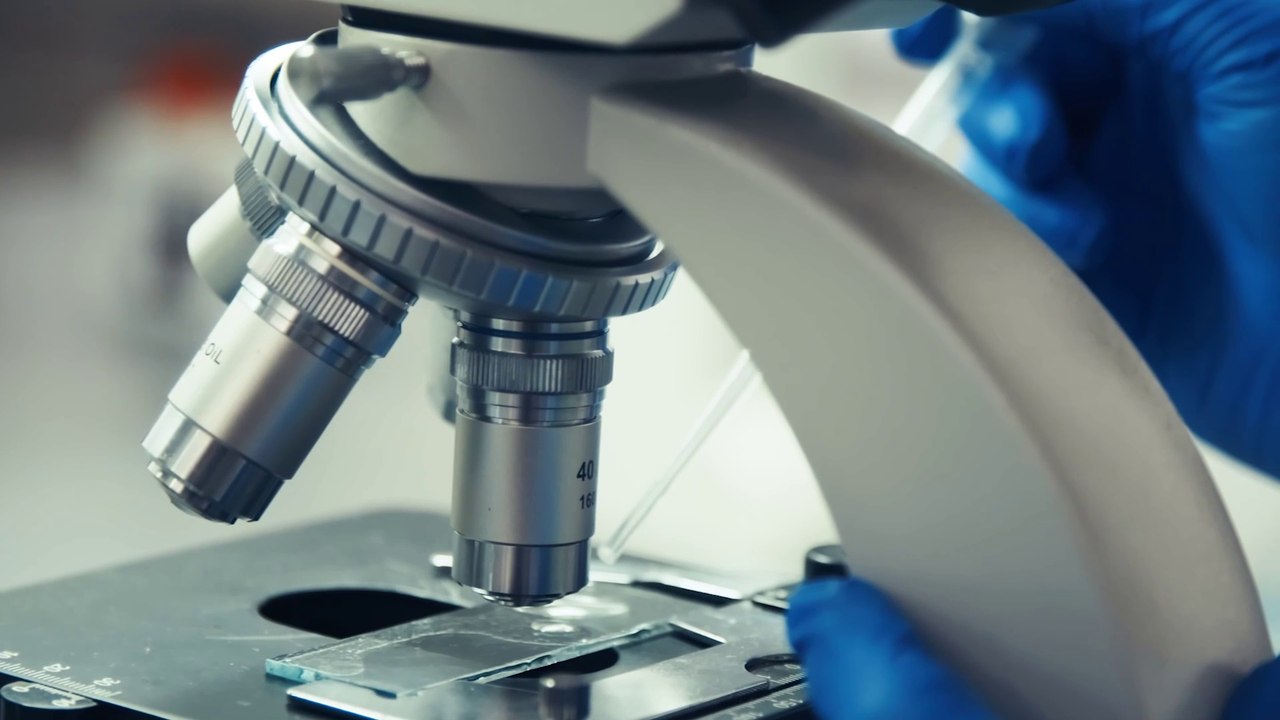 FIV - La Fécondation in Vitro