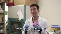 Ecco il riso alla carne coltivata creato in Corea del Sud