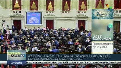 Shulman: El DNU de Milei es un permiso de pirata