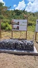 La ministre délégué aux Outre-mer sur le terrain au Prêcheur