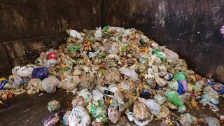 What happens to your food waste once it has been collected in West Norfolk?