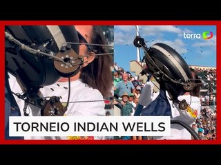 Partida de tênis é suspensa após invasão de abelhas nos EUA