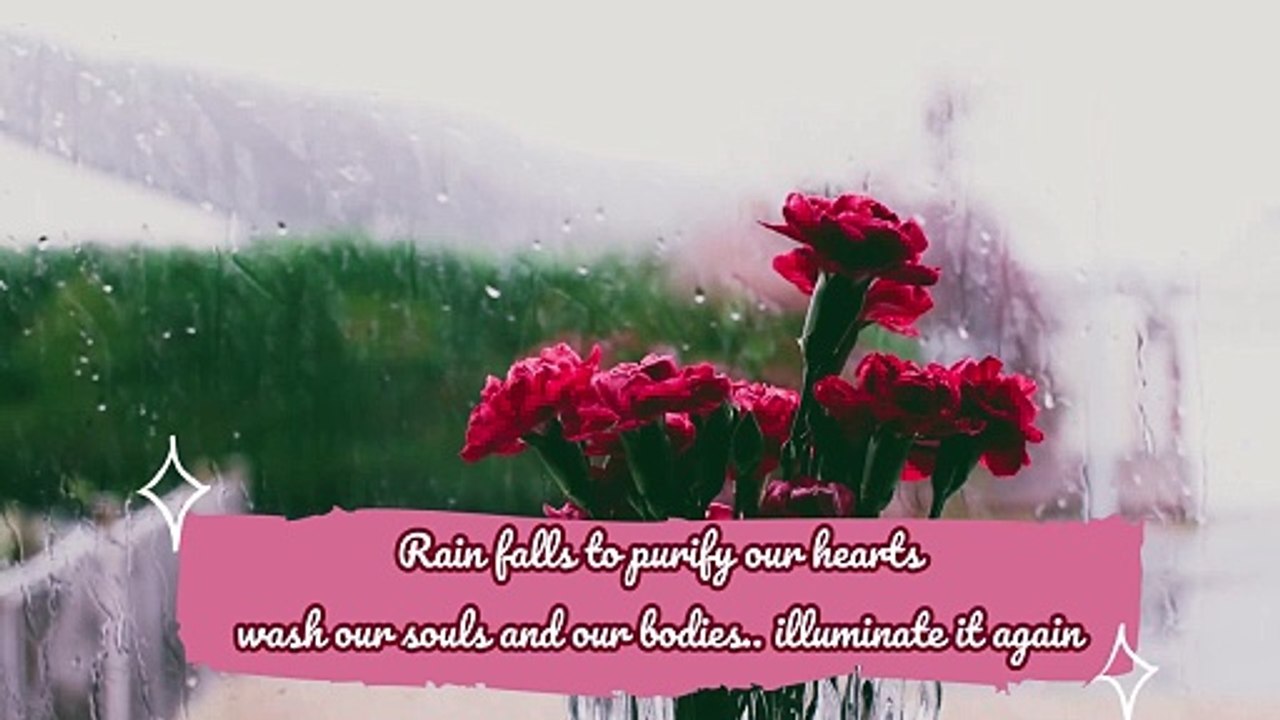 Rain