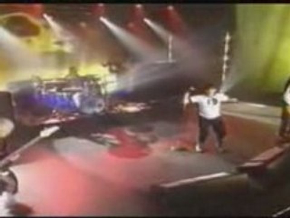 Red hot chili peppers   cant stop