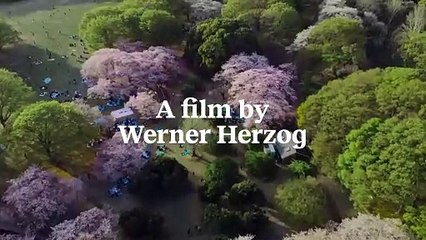 Family Romance, LLC Bande-annonce (EN)