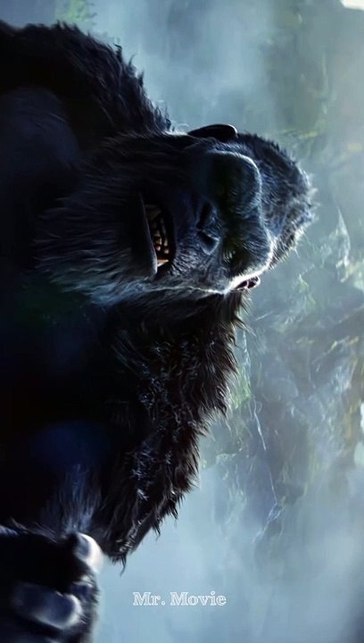 Godzilla X Kong