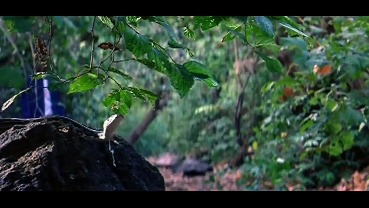 Darna Zaroori Hai |  Horror | Drama | Hindi Horror Movie | Bollywood Horror Movie | Purani Hindi Movies