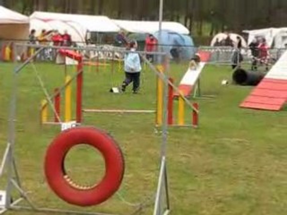 St avold alice tara  gpf 160308