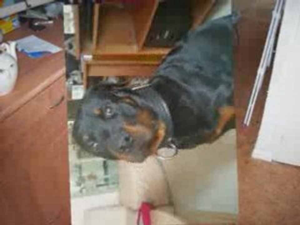 Cayzer et caraco_0001