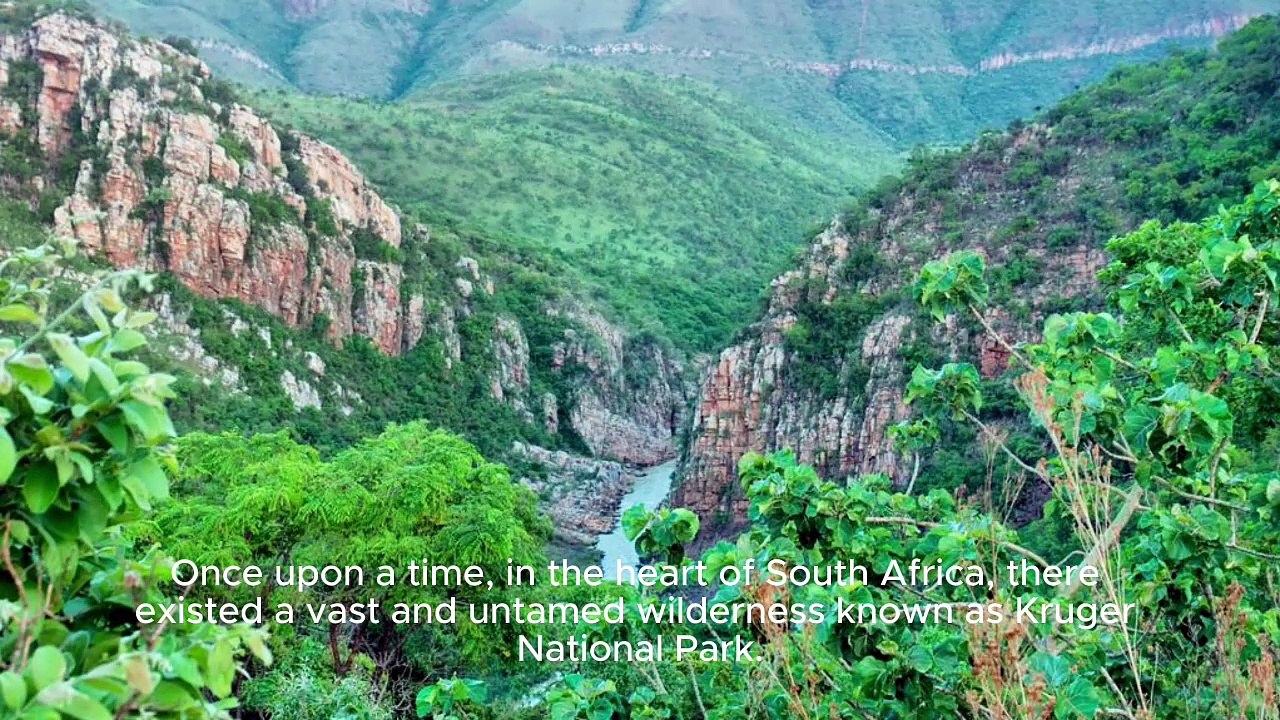 "Kruger National Park: A Symphony of Wilderness Preservation and Human Connection"