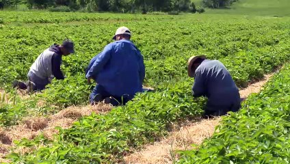 15 mars topo LPM colere agriculteurs