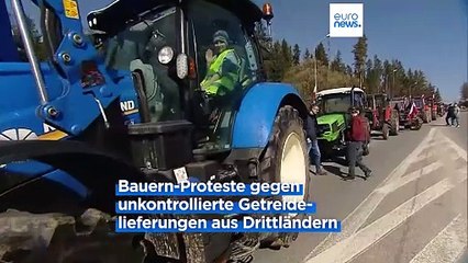 "Wir wissen, was zu tun ist": Polnische Bauern protestieren an Grenze zur Slowakei