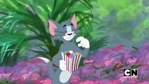 Tom and jerry توم اند جيري