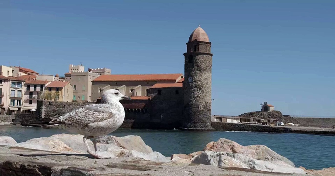 Bird Castle @poland