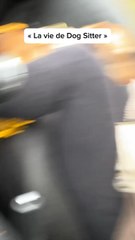 Apocalypse: What You Need to Know