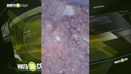 Atroz Perro fue amarrado a un poste de luz por hacer necesidades al frente de una casa