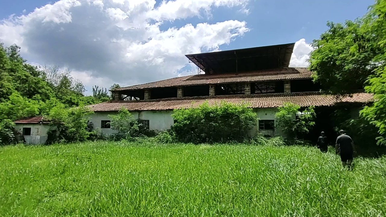 ERA UM CASARÃO, DEPOIS DESCOBRI QUE ERA UM LUGAR ESQUECIDO NA MATA