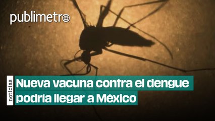 ¿Adiós al dengue? Nueva vacuna podría terminar con aumento de casos en México