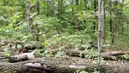 Une adolescente condamnée pour le meurtre d'une fillette _ Autopsie d'un meurtre