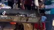Des vendeurs ambulants vendent des rats grillés dans les rues de New York!