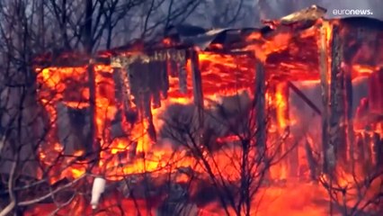 شاهد: حرائق الغابات تبدأ مبكرا هذا العام في روسيا