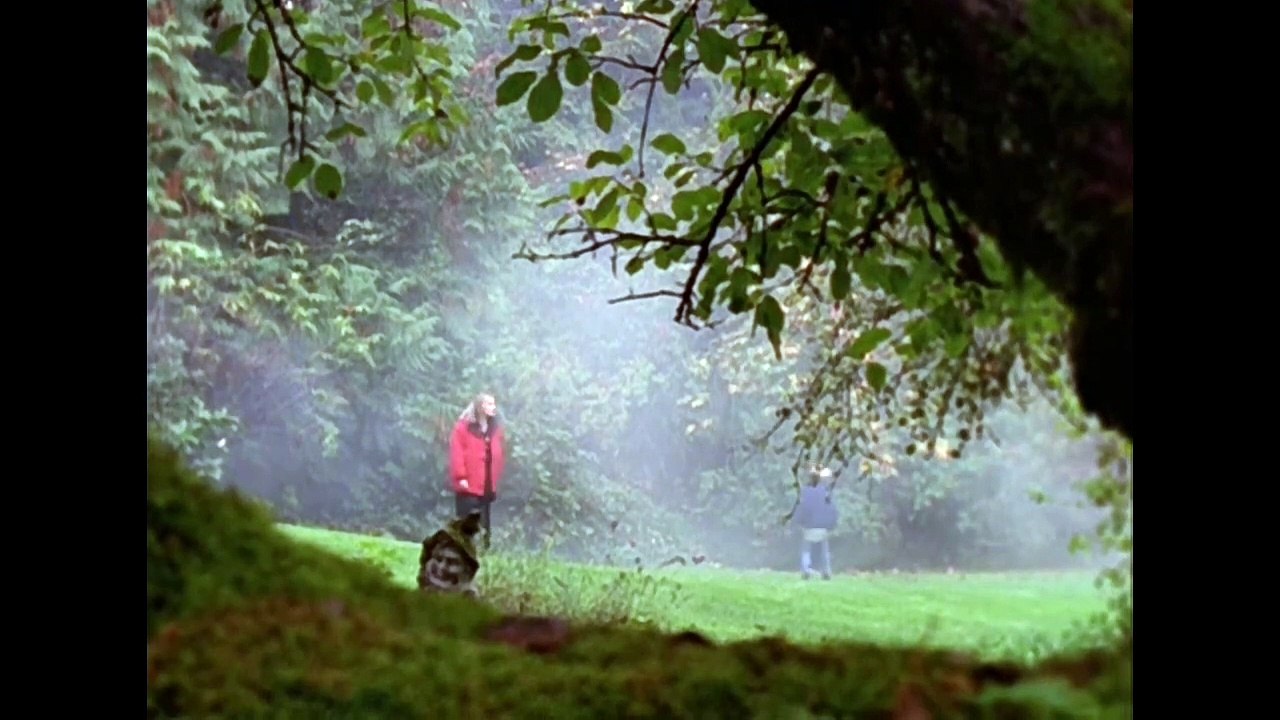 The Outer Limits (1995) First Redubbed Episode SandKing Pt.2 - Part 1