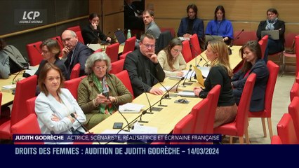 Audition à l'Assemblée nationale - Violences sexuelles dans le 7e art : audition de Judith Godrèche - 14/04/2024