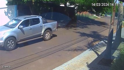 Câmera registra momento em que cachorrinho é atropelado no Pioneiros Catarinense