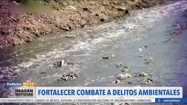 El Partido Verde llama a fortalecer el combate a los delitos ambientales