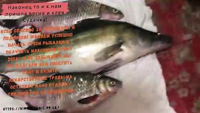 “Catching pike perch is not just a hobby, but a whole world where each of us can find our own pike perch!