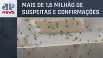 Brasil ultrapassa número de casos de dengue de 2023