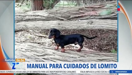 Niña hace manual ilustrado para cuidados de su perrito