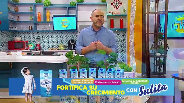 Transmisión en Vivo (3528)