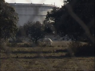 Contingence © 2002-2012 Catalogue Dédale Films Production