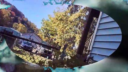 Going grocery shopping on 10 4 23 and bringing food in l Cyberlink.compressed