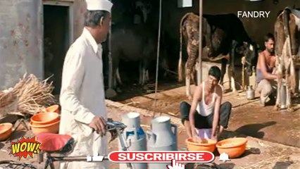 Plyaing the corrom # part 3# Fandry # marathi movie # hit #full movie clip#