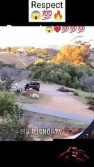 Respect and Likes on YouTube Shorts 👍