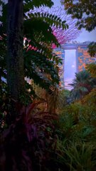 SINGAPOUR ET TOUS SES SECRETS