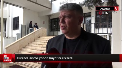 Küresel ısınma yaban hayatını etkiledi