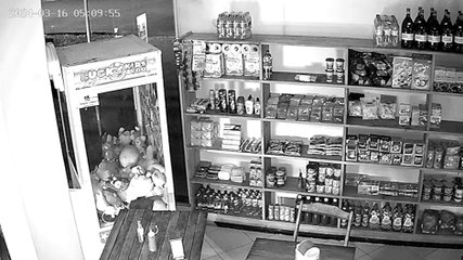 Câmera flagra ação rápida de marginal em furto de padaria no Esmeralda